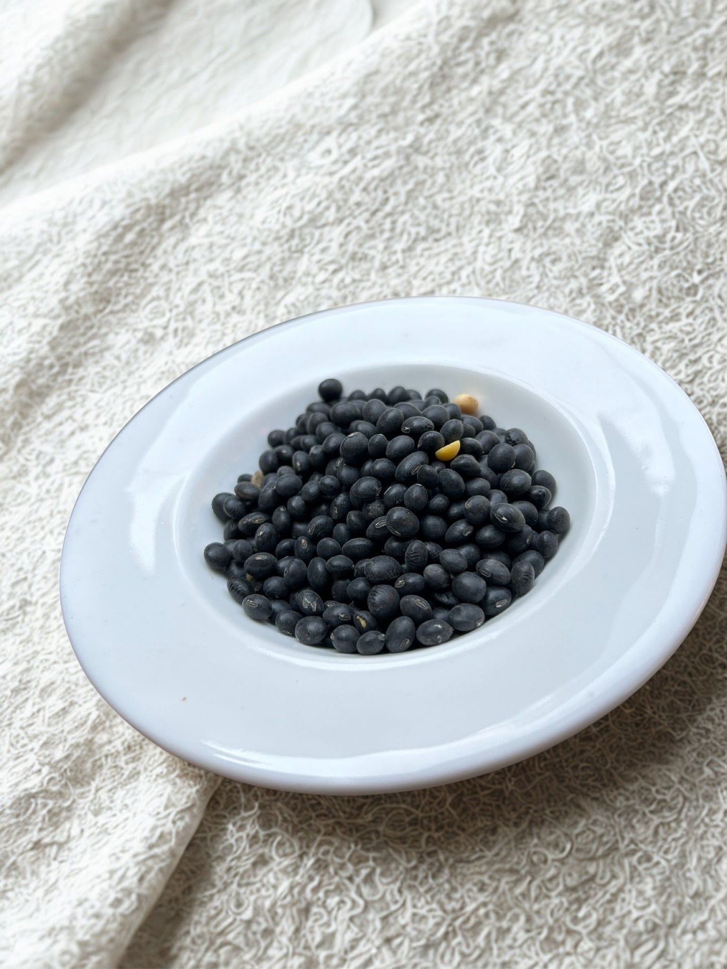 Pack of Parvati Pantry Bhatt Ki Dal black soybeans