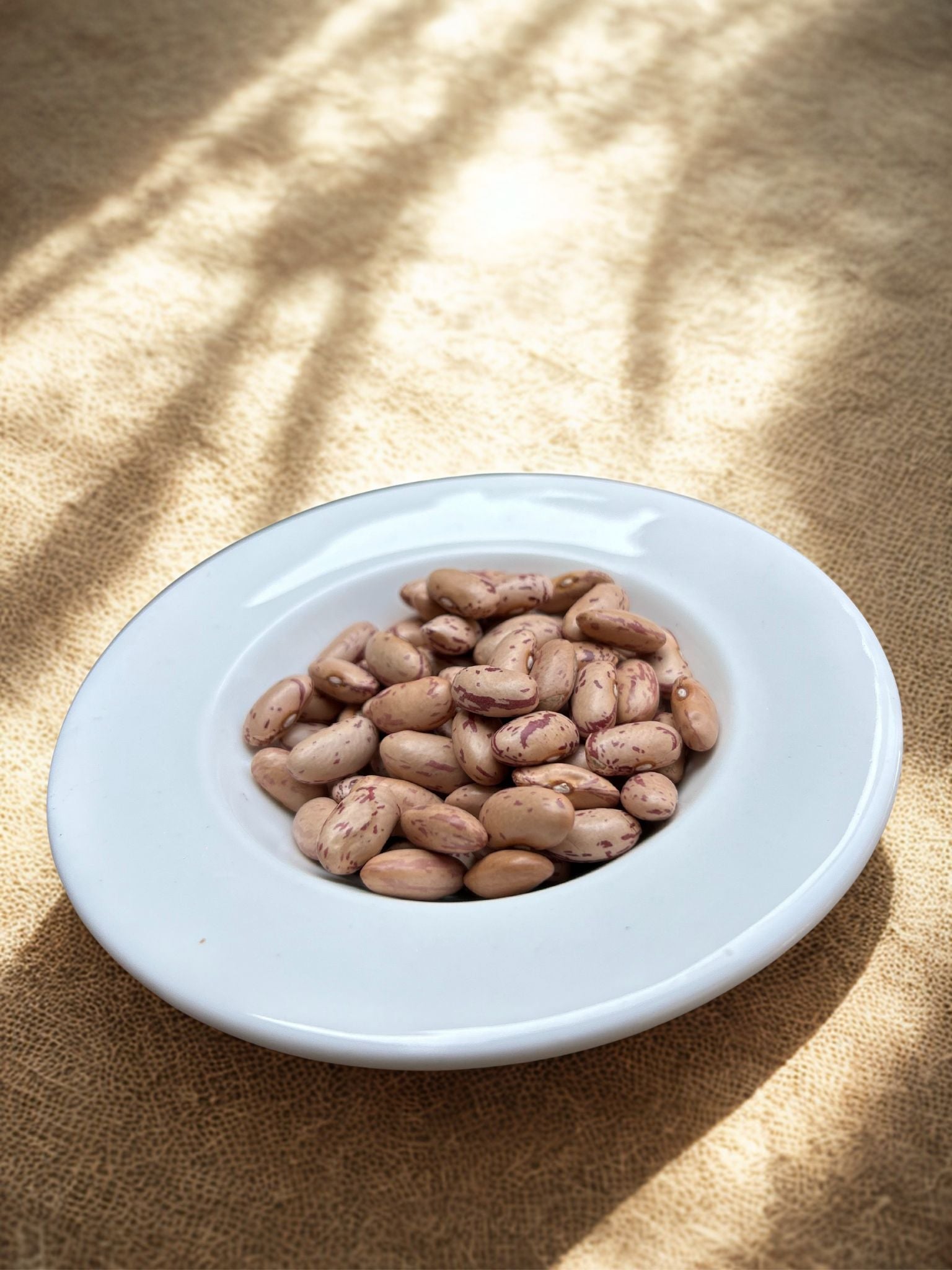 Pack of Parvati Pantry Kumaoni Rajma kidney beans
